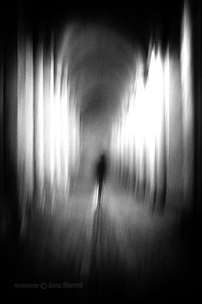 _DSC0568_r